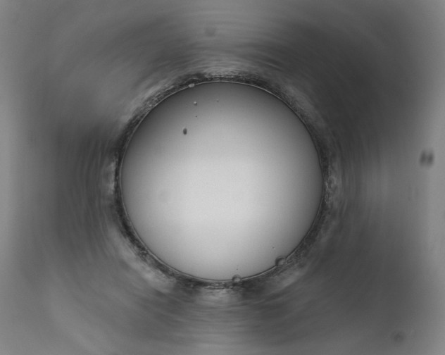 X0000111610454200907311143