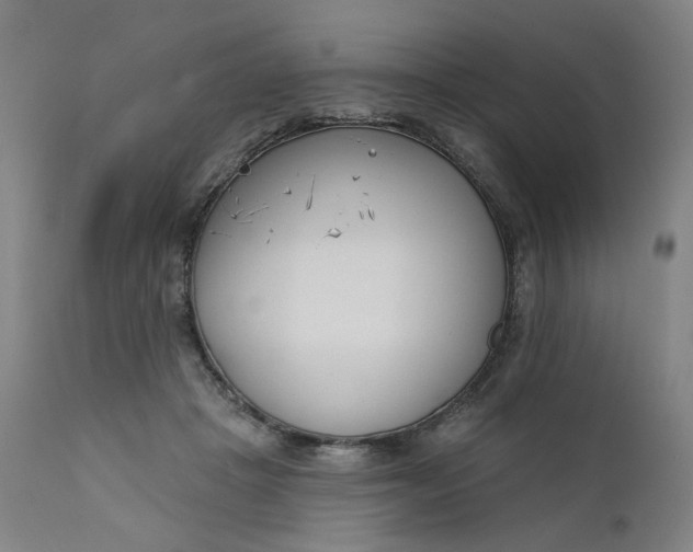 X0000111610457200907311143