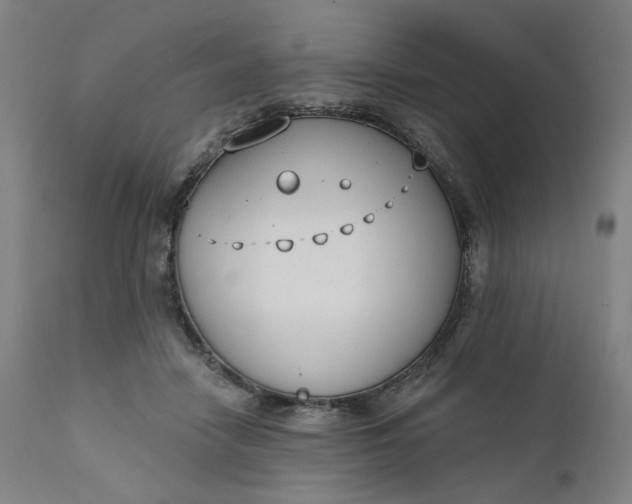 X0000111610458200907311143