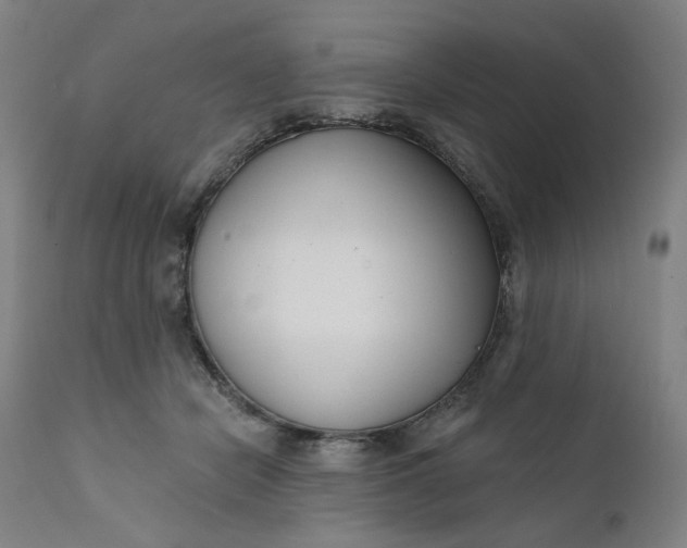 X0000111610462200907311143