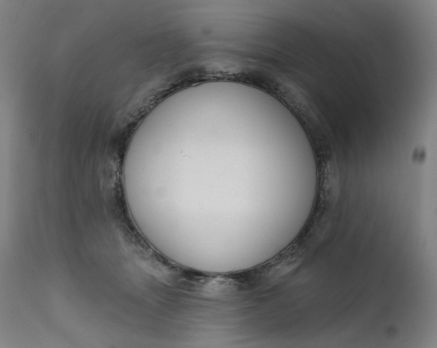 X0000111610463200907311143