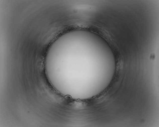 X0000111610464200907311143