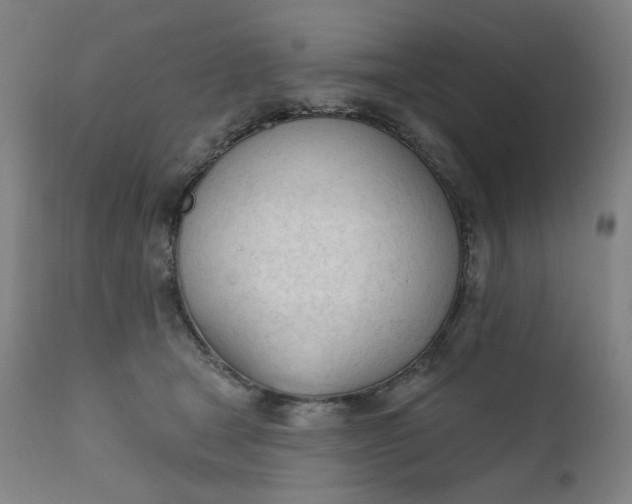 X0000111610465200907311143