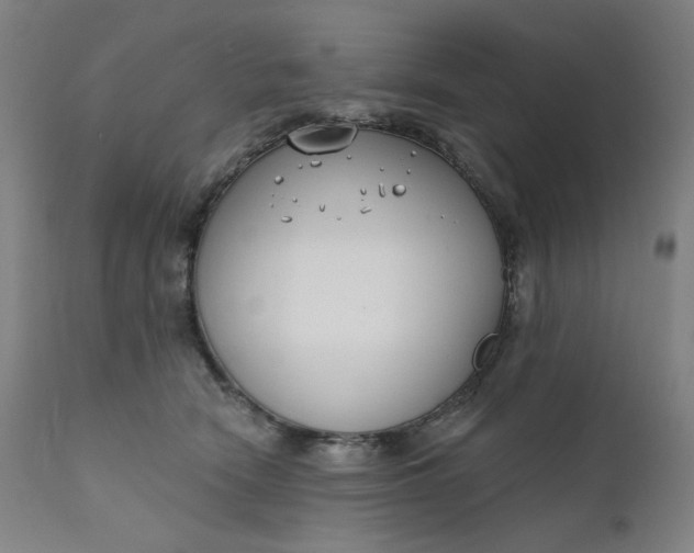 X0000111610466200907311143