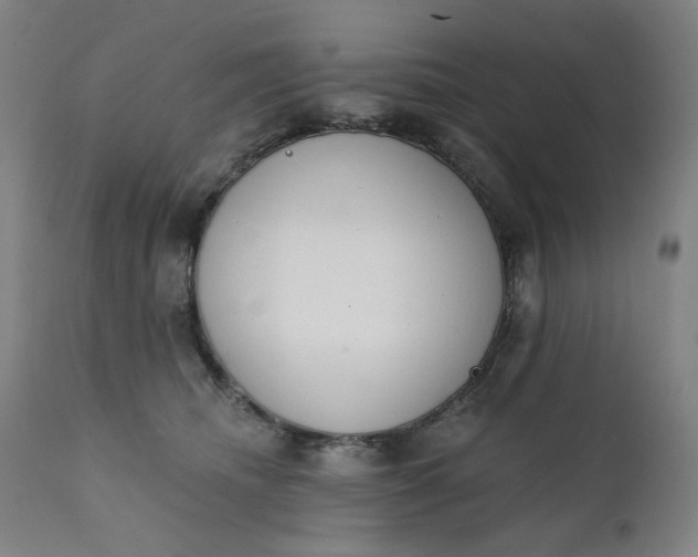 X0000111610468200907311143