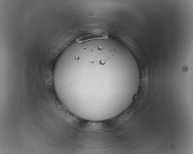 X0000111610469200907311143