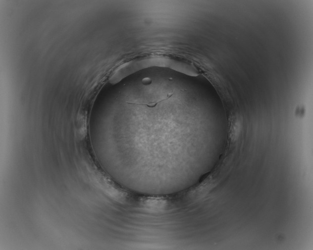 X0000111610471200907311143