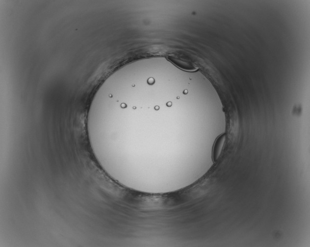 X0000111610473200907311143