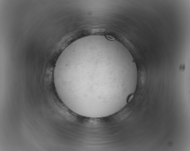 X0000111610475200907311143