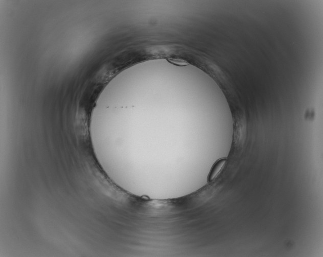 X0000111610477200907311143