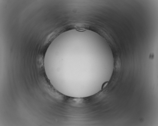 X0000111610478200907311143