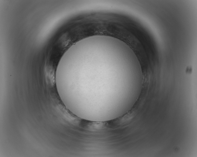 X0000111610479200907311143