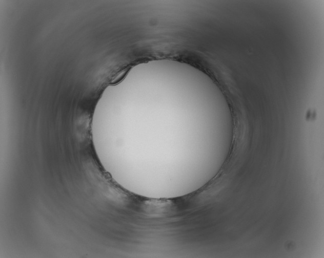 X0000111610480200907311143