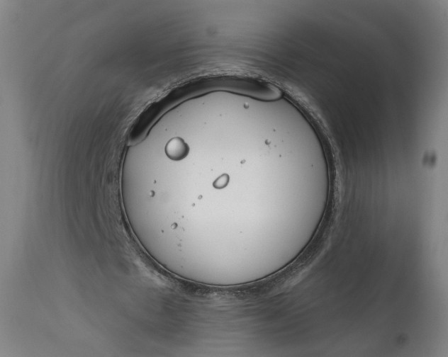 X0000111610481200907311142