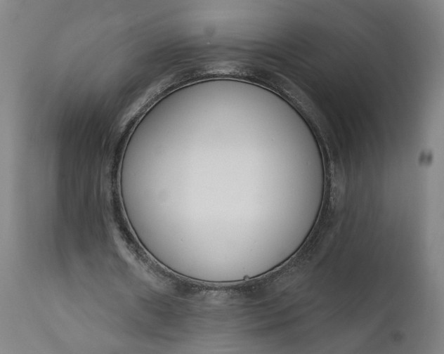 X0000111610482200907311142