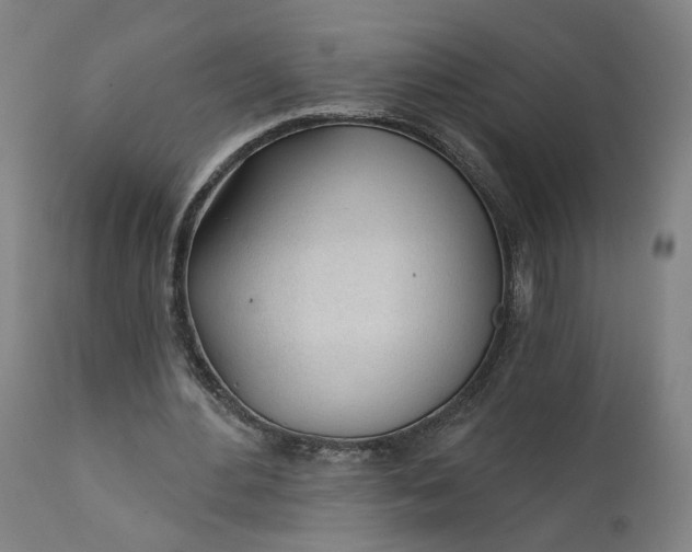 X0000111610484200907311142