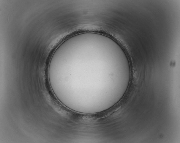 X0000111610487200907311142