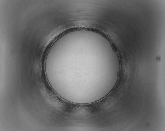 X0000111610488200907311142