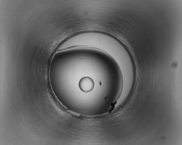 X0000111610489200907311142