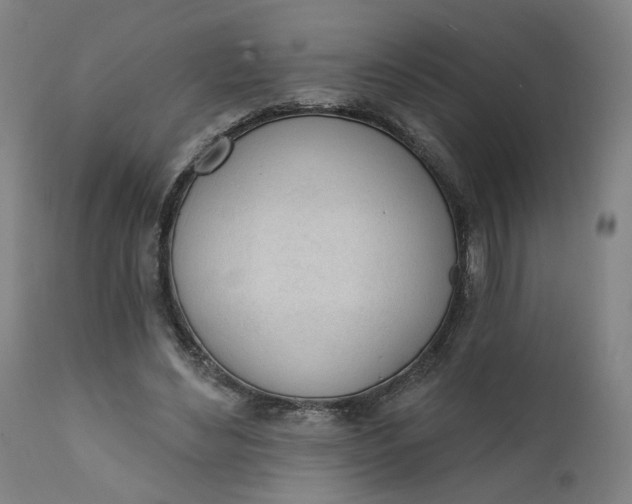 X0000111610492200907311142