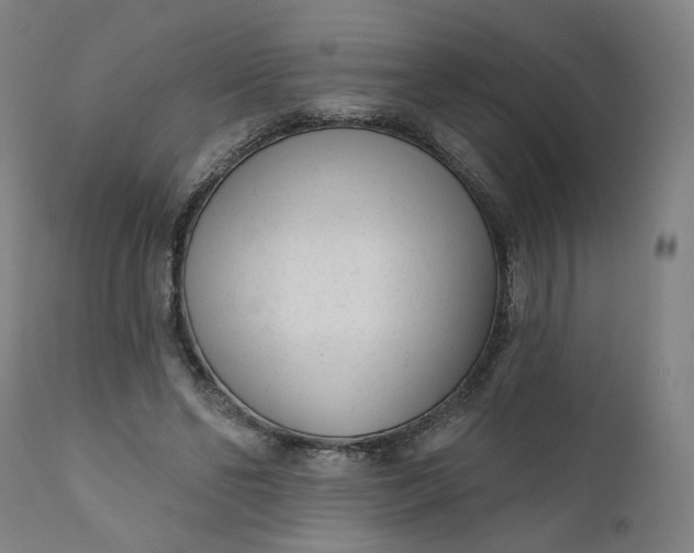 X0000111610494200907311142