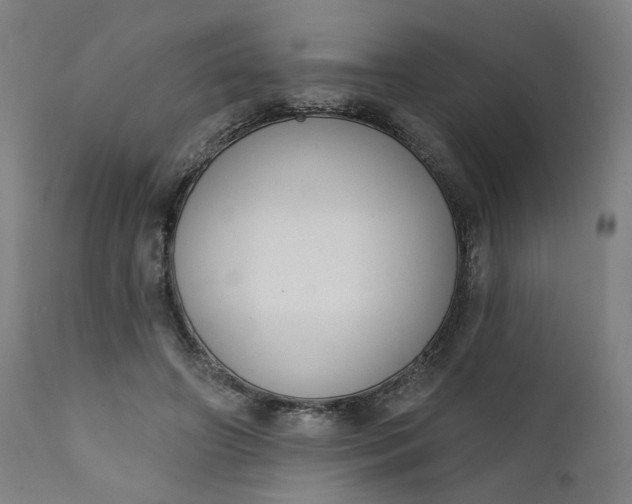 X0000111610498200907311142