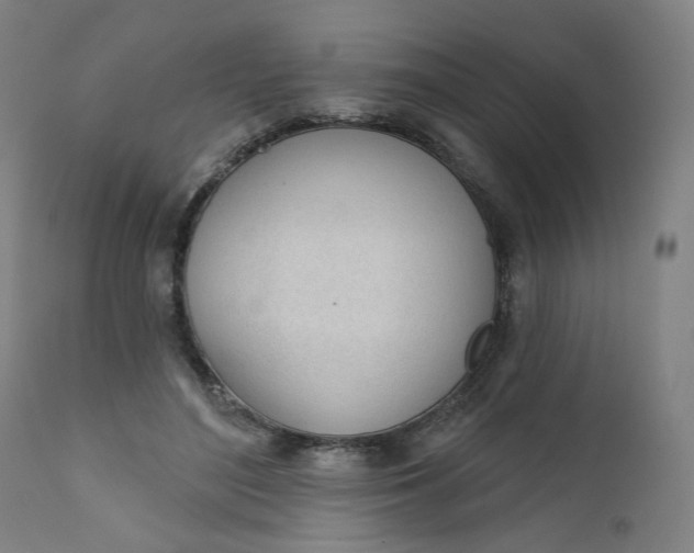 X0000111610500200907311142