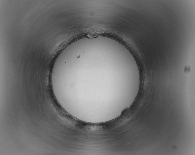 X0000111610501200907311142