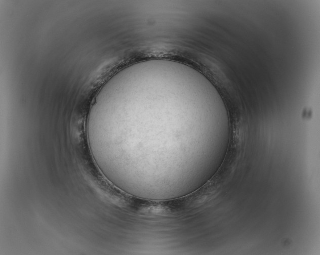 X0000111610503200907311142