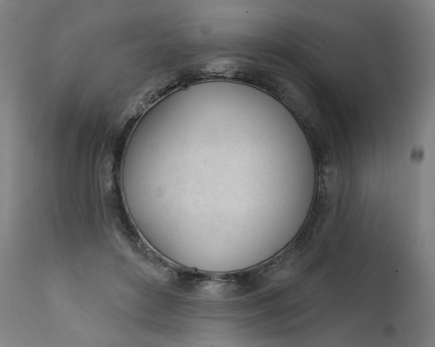 X0000111610504200907311142