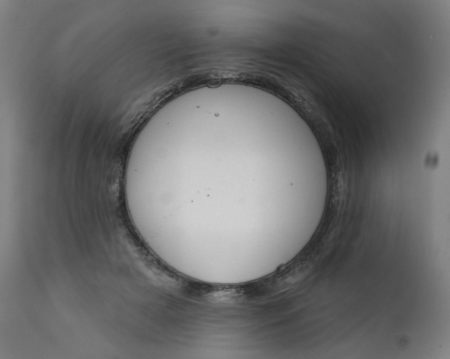 X0000111610505200907311142