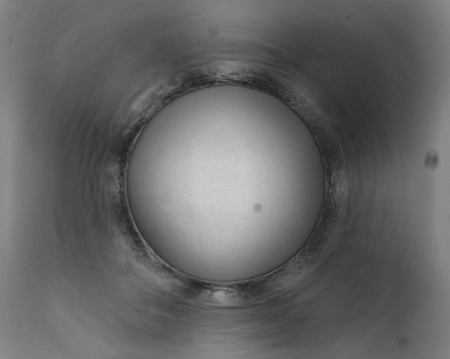 X0000111610506200907311142