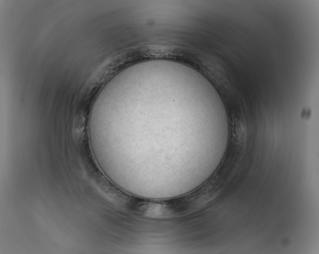 X0000111610507200907311142