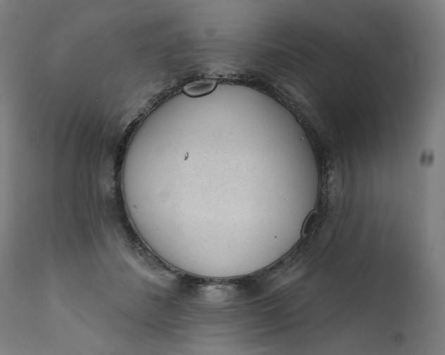 X0000111610508200907311142