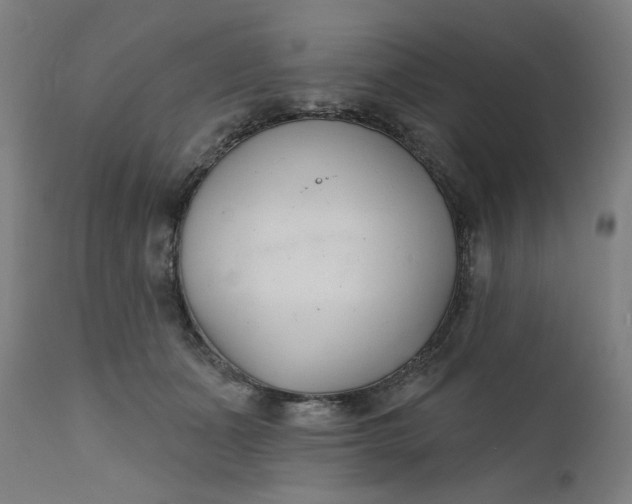 X0000111610511200907311142