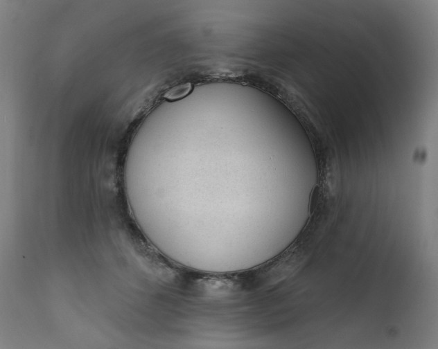 X0000111610512200907311142