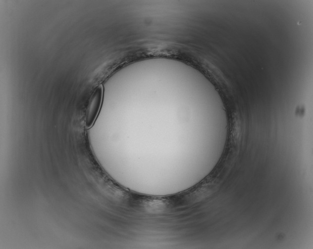 X0000111610513200907311142