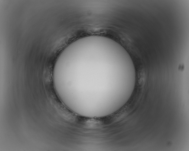 X0000111610515200907311142