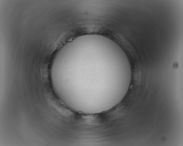 X0000111610516200907311142