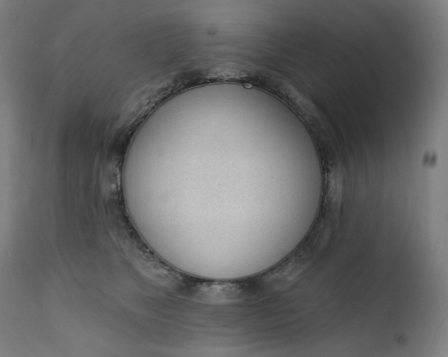 X0000111610517200907311142