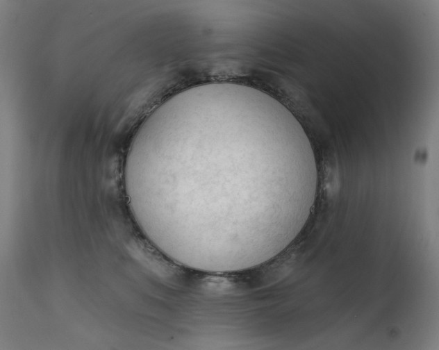 X0000111610519200907311142