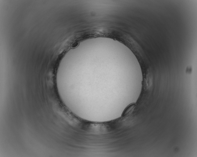 X0000111610520200907311142