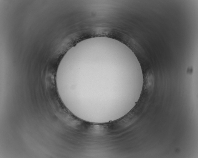 X0000111610522200907311142