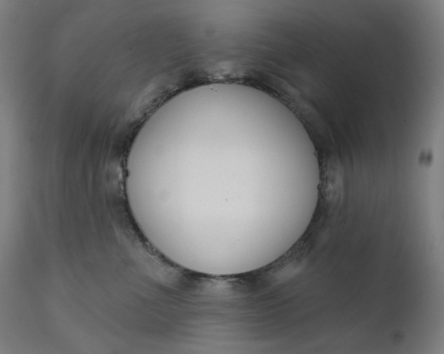 X0000111610523200907311142