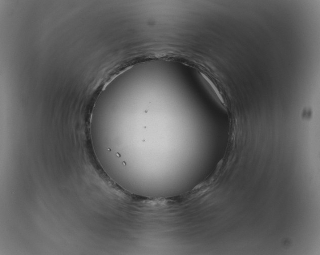 X0000111610524200907311142