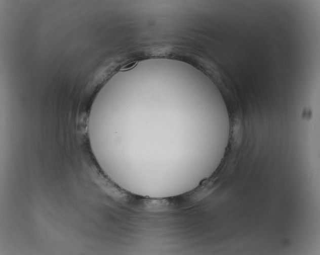 X0000111610525200907311142