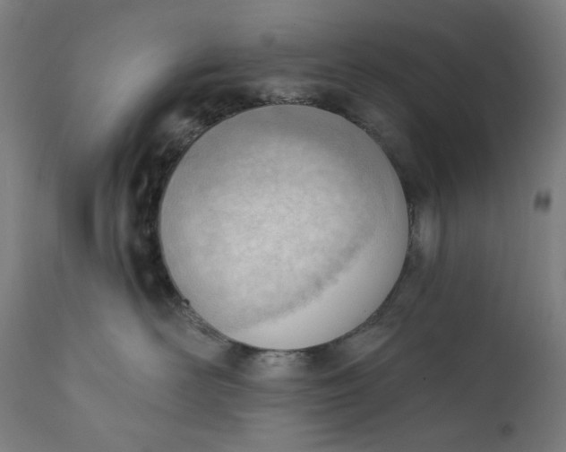 X0000111610526200907311142