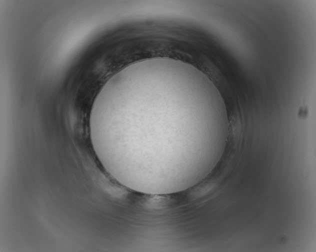 X0000111610527200907311141