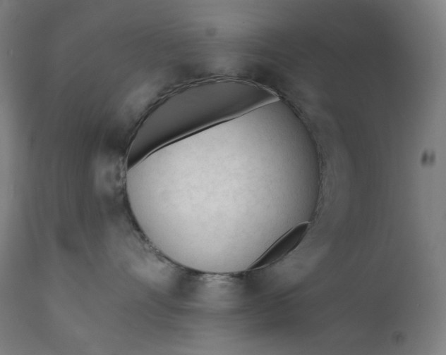 X0000111610528200907311141