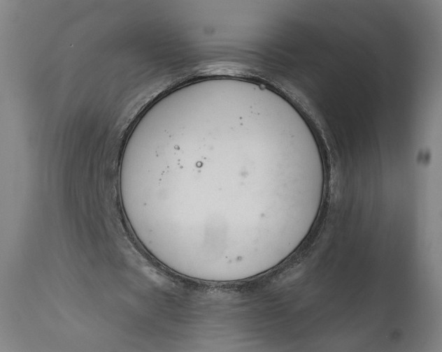 X0000111610529200907311141